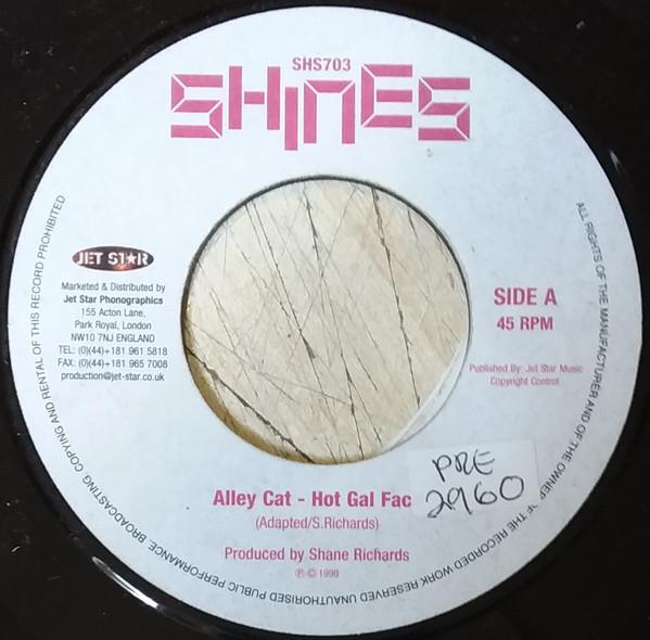 Alley Cat  - Hot Gal Face