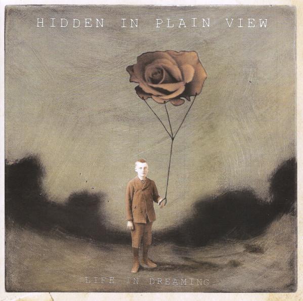 Hidden In Plain View - Life In Dreaming