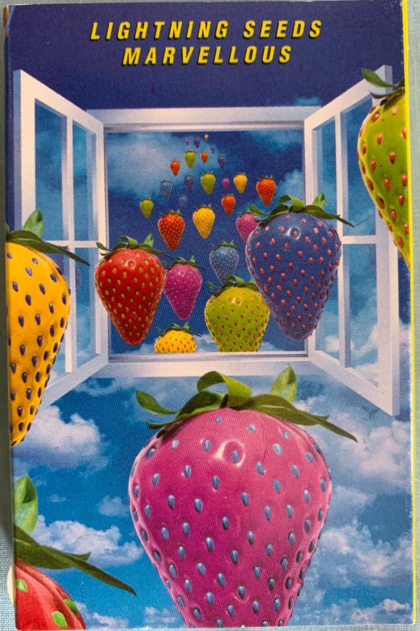 Lightning Seeds - Marvellous
