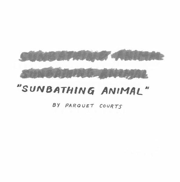 Parquet Courts - Sunbathing Animal