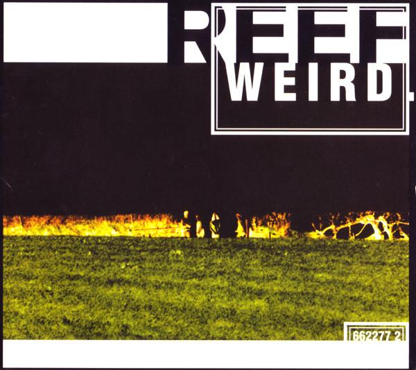 Reef - Weird