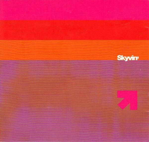  - Skyvin'