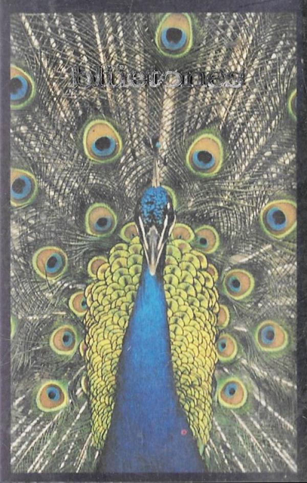 The Bluetones - Expecting To Fly